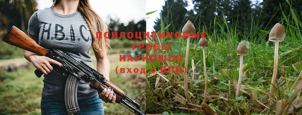 ECSTASY Алексин